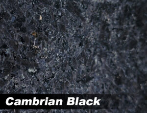 Cambrian Black